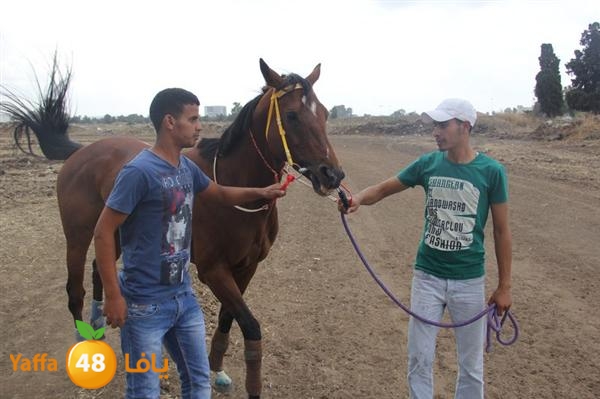 khoyoul lud 0610 (54).JPG